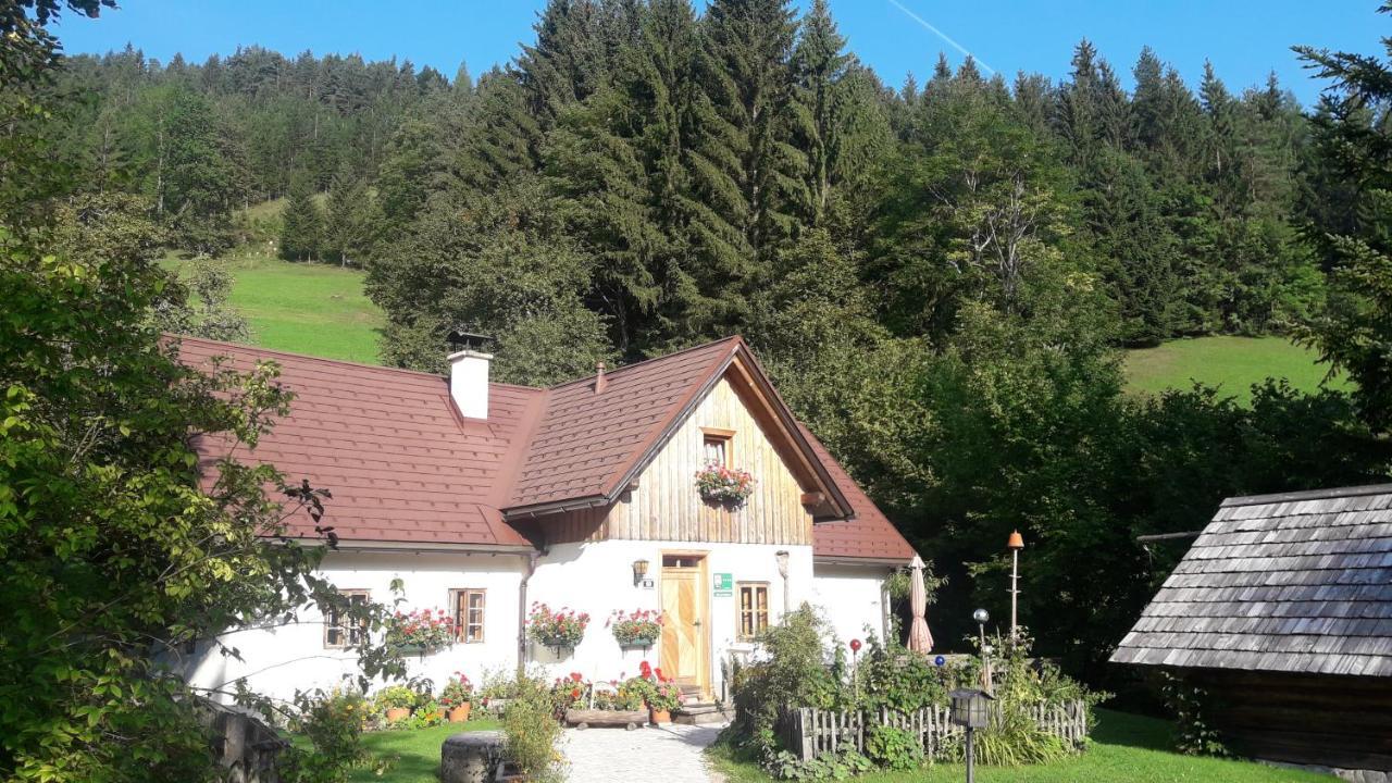 Ferienhaus Lenzau Strohmarkt Екстериор снимка
